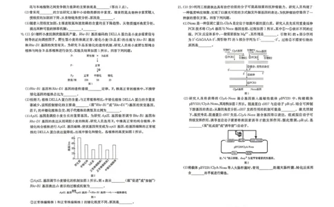 云南省2026届高三下学期4月联考（26-338C）生物_2024-2026高三（6-6月题库）_2026年04月高三试卷_260427金太阳&middot;云南省2026届高三下学期4月联考（26-338C）（全科）