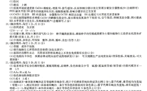 生物答案_2024-2026高三（6-6月题库）_2026年04月高三试卷_260408九师联盟2025-2026学年高三核心模拟卷中（六）（全科）_九师联盟2025-2026学年高三核心模拟卷中（六）生物