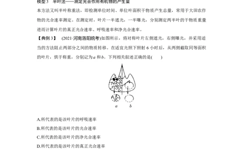 微专题5　三率测定的6种实验模型_新高考复习资料_2023年新高考复习资料_一轮复习_2023年新高考大一轮复习讲义_2023年高考生物一轮复习讲义（新人教新高考）_赠补充习题