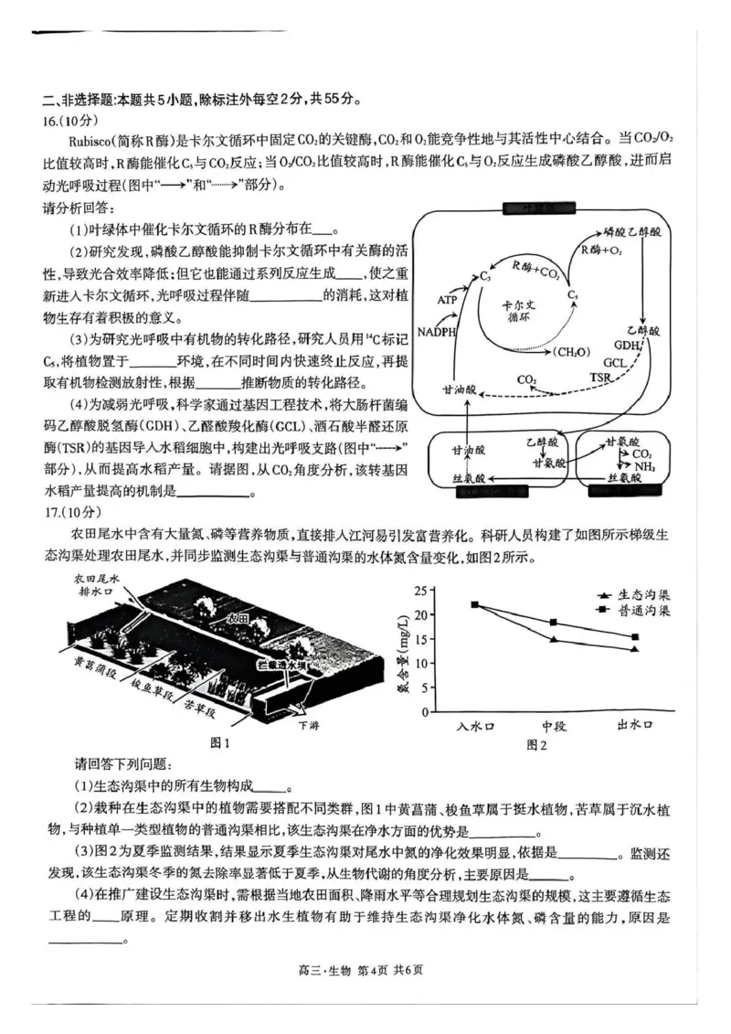 泸州市高2023级高三质量监测试题生物_2024-2026高三（6-6月题库）_2026年04月高三试卷_260427四川省泸州市高2023级高三质量监测试题（泸州三诊）（全科）