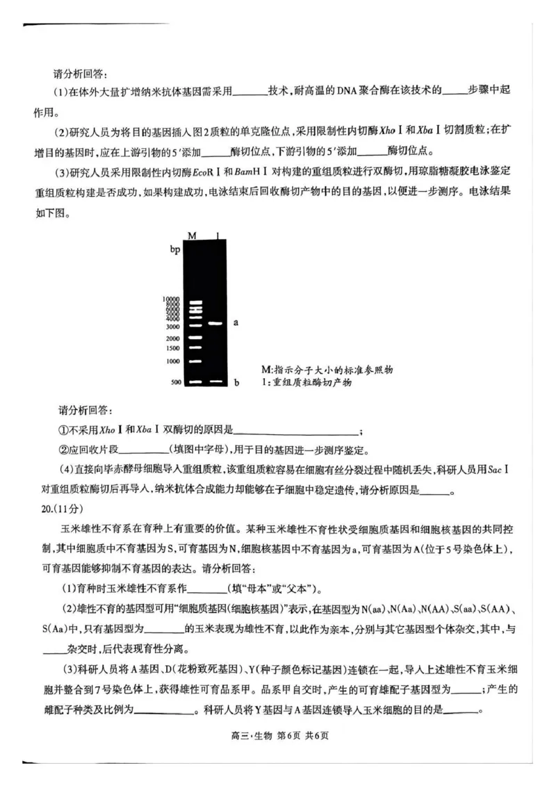 泸州市高2023级高三质量监测试题生物_2024-2026高三（6-6月题库）_2026年04月高三试卷_260427四川省泸州市高2023级高三质量监测试题（泸州三诊）（全科）