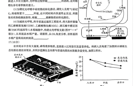 泸州市高2023级高三质量监测试题生物_2024-2026高三（6-6月题库）_2026年04月高三试卷_260427四川省泸州市高2023级高三质量监测试题（泸州三诊）（全科）