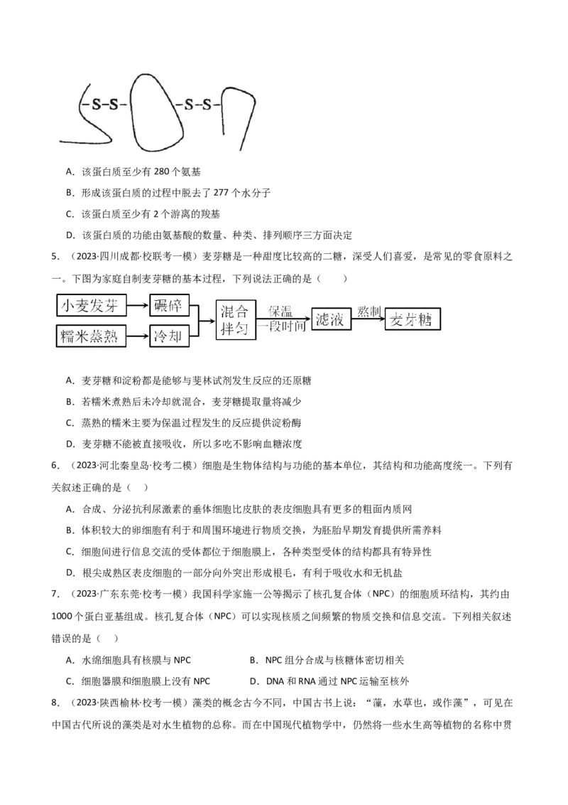 必修1分子与细胞测试卷（原卷版）_新高考复习资料_2024年新高考复习资料_一轮复习资料_完备战2024年高考生物一轮复习考点帮（新高考）_必修1