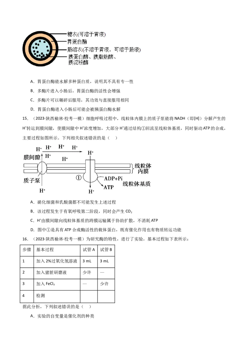 必修1分子与细胞测试卷（原卷版）_新高考复习资料_2024年新高考复习资料_一轮复习资料_完备战2024年高考生物一轮复习考点帮（新高考）_必修1