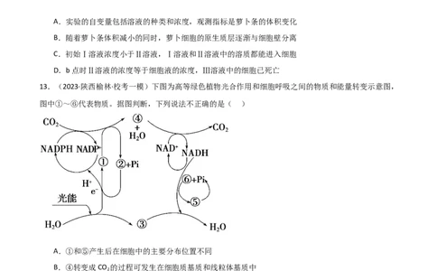必修1分子与细胞测试卷（原卷版）_新高考复习资料_2024年新高考复习资料_一轮复习资料_完备战2024年高考生物一轮复习考点帮（新高考）_必修1