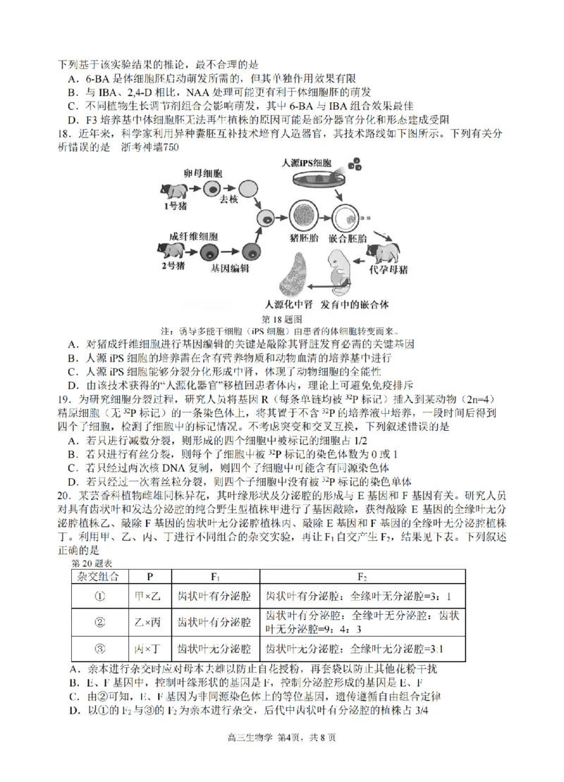 生物卷-2603高三名校协作体_2024-2026高三（6-6月题库）_2026年03月高三试卷_2503092026届浙江省名校协作体G12联盟高三下学期二模（全科）