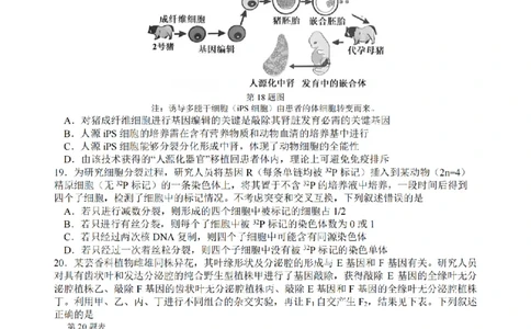 生物卷-2603高三名校协作体_2024-2026高三（6-6月题库）_2026年03月高三试卷_2503092026届浙江省名校协作体G12联盟高三下学期二模（全科）