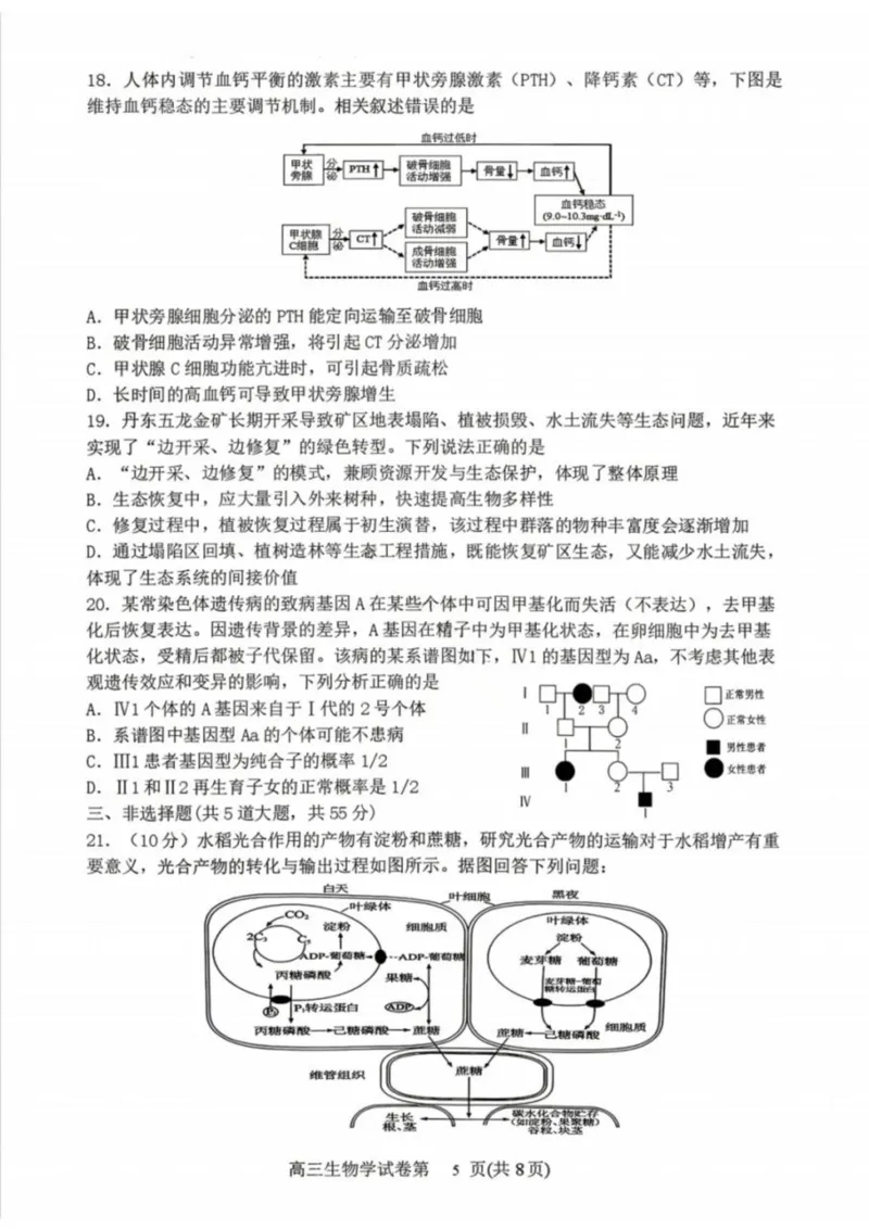 生物-辽宁省丹东市2026届高三年级教学质量监测(丹东一模)_2024-2026高三（6-6月题库）_2026年04月高三试卷_260418辽宁省丹东市2026届高三年级教学质量监测(丹东一模)（全科）