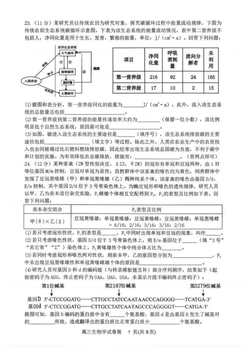 生物-辽宁省丹东市2026届高三年级教学质量监测(丹东一模)_2024-2026高三（6-6月题库）_2026年04月高三试卷_260418辽宁省丹东市2026届高三年级教学质量监测(丹东一模)（全科）