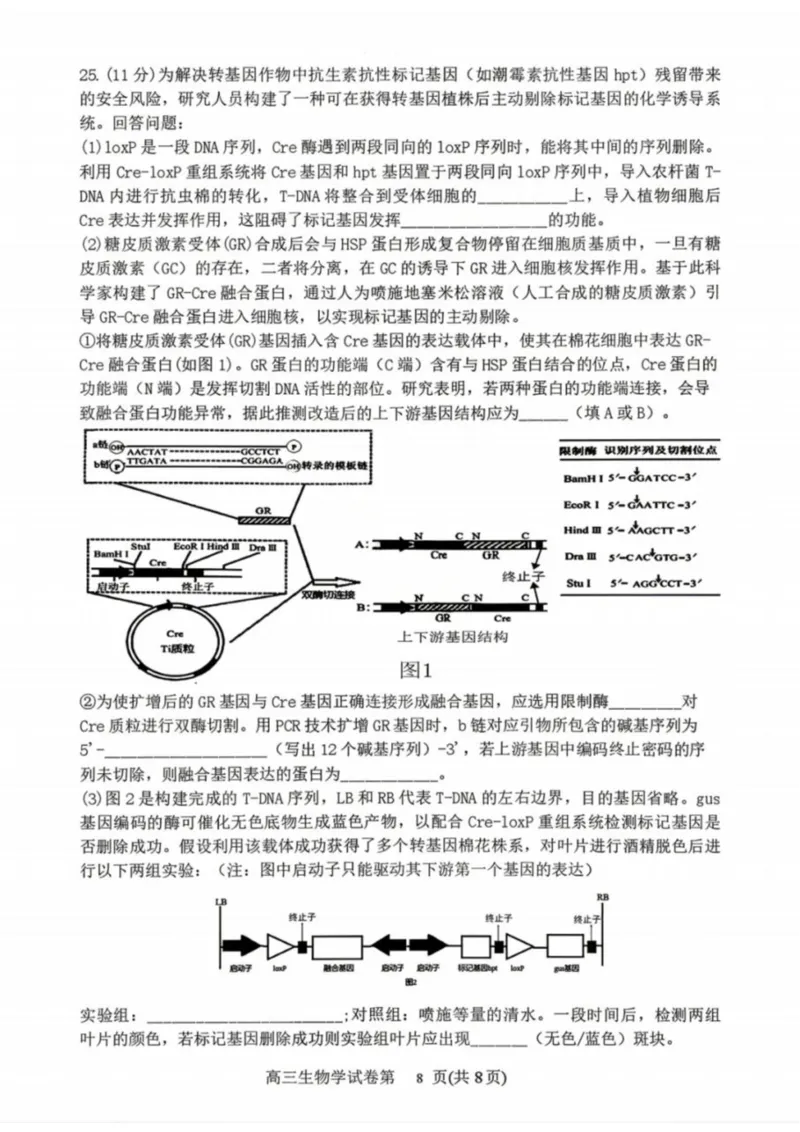 生物-辽宁省丹东市2026届高三年级教学质量监测(丹东一模)_2024-2026高三（6-6月题库）_2026年04月高三试卷_260418辽宁省丹东市2026届高三年级教学质量监测(丹东一模)（全科）