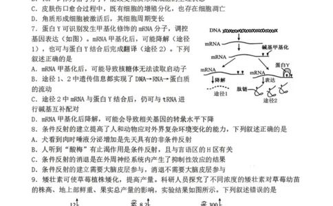 生物-辽宁省丹东市2026届高三年级教学质量监测(丹东一模)_2024-2026高三（6-6月题库）_2026年04月高三试卷_260418辽宁省丹东市2026届高三年级教学质量监测(丹东一模)（全科）