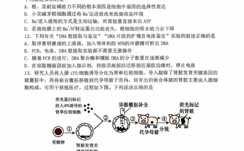 生物-辽宁省丹东市2026届高三年级教学质量监测(丹东一模)_2024-2026高三（6-6月题库）_2026年04月高三试卷_260418辽宁省丹东市2026届高三年级教学质量监测(丹东一模)（全科）