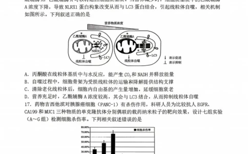 生物-辽宁省丹东市2026届高三年级教学质量监测(丹东一模)_2024-2026高三（6-6月题库）_2026年04月高三试卷_260418辽宁省丹东市2026届高三年级教学质量监测(丹东一模)（全科）