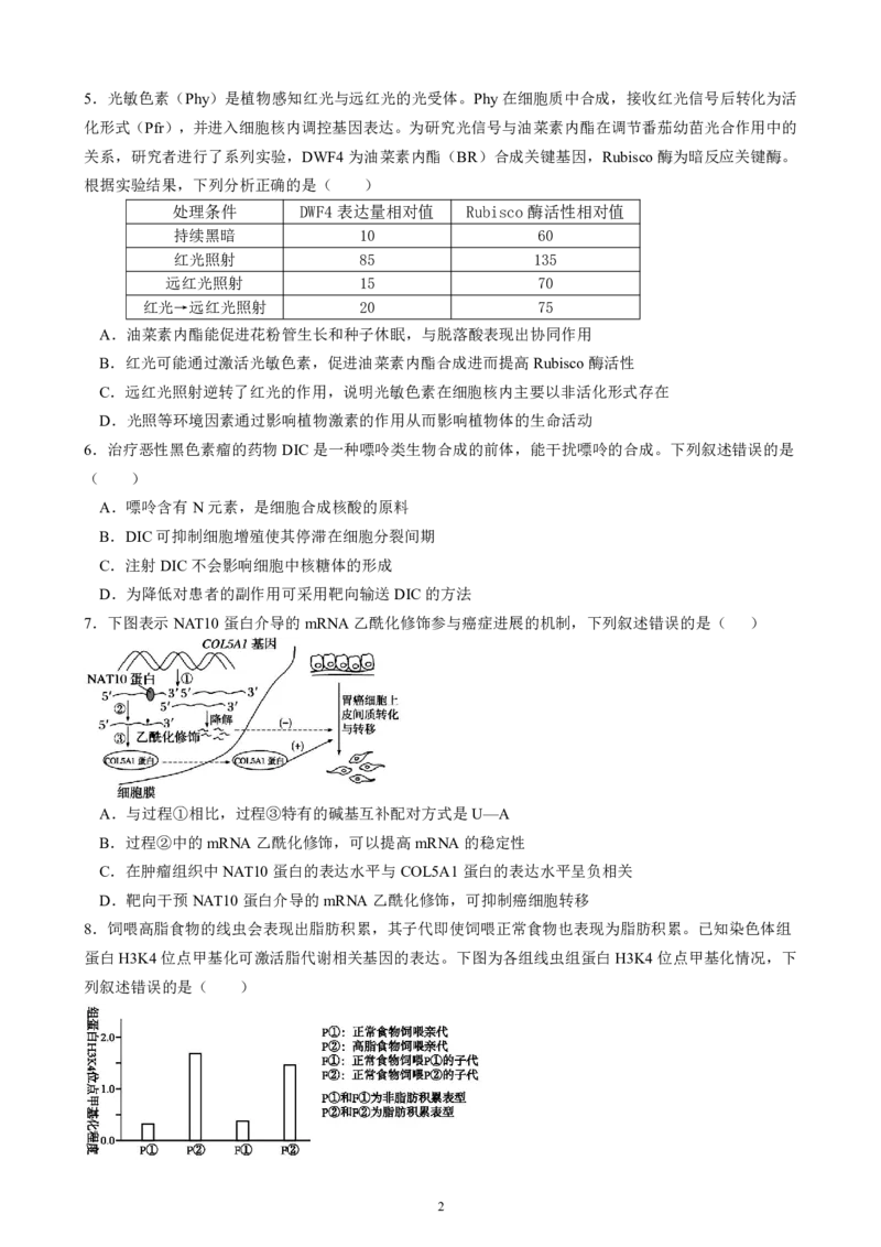 成都石室中学2025-2026学年度下学期高2026届二诊模拟考试生物_2024-2026高三（6-6月题库）_2026年03月高三试卷_260321四川省成都石室中学2025-2026学年度下学期高2026届二诊模拟考试（全科）
