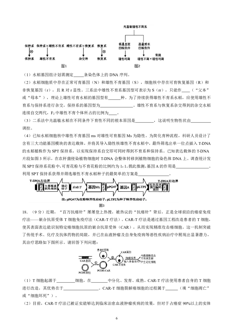 成都石室中学2025-2026学年度下学期高2026届二诊模拟考试生物_2024-2026高三（6-6月题库）_2026年03月高三试卷_260321四川省成都石室中学2025-2026学年度下学期高2026届二诊模拟考试（全科）