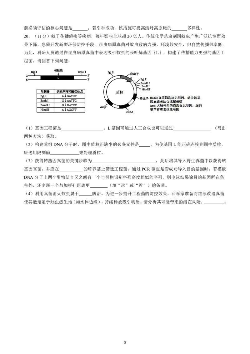 成都石室中学2025-2026学年度下学期高2026届二诊模拟考试生物_2024-2026高三（6-6月题库）_2026年03月高三试卷_260321四川省成都石室中学2025-2026学年度下学期高2026届二诊模拟考试（全科）