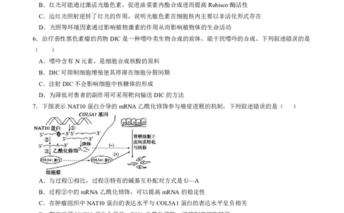 成都石室中学2025-2026学年度下学期高2026届二诊模拟考试生物_2024-2026高三（6-6月题库）_2026年03月高三试卷_260321四川省成都石室中学2025-2026学年度下学期高2026届二诊模拟考试（全科）