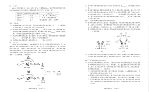 生物及答案2026高三市二统生物试卷_2024-2026高三（6-6月题库）_2026年04月高三试卷_260402云南昆明市普通高中2026届高三3月复习教学质量诊断（全科）