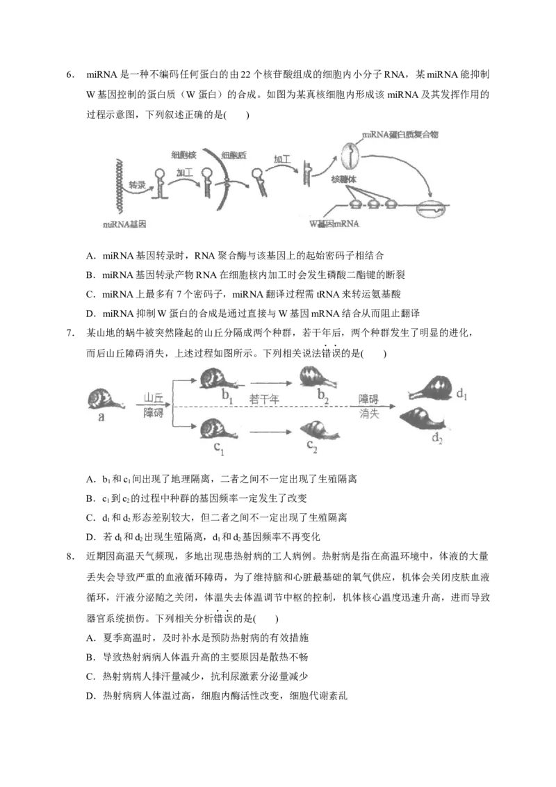 广东省汕头市金山中学2022-2023学年高三上学期摸底考试生物试题_生物高考模拟题_新高考_2023年