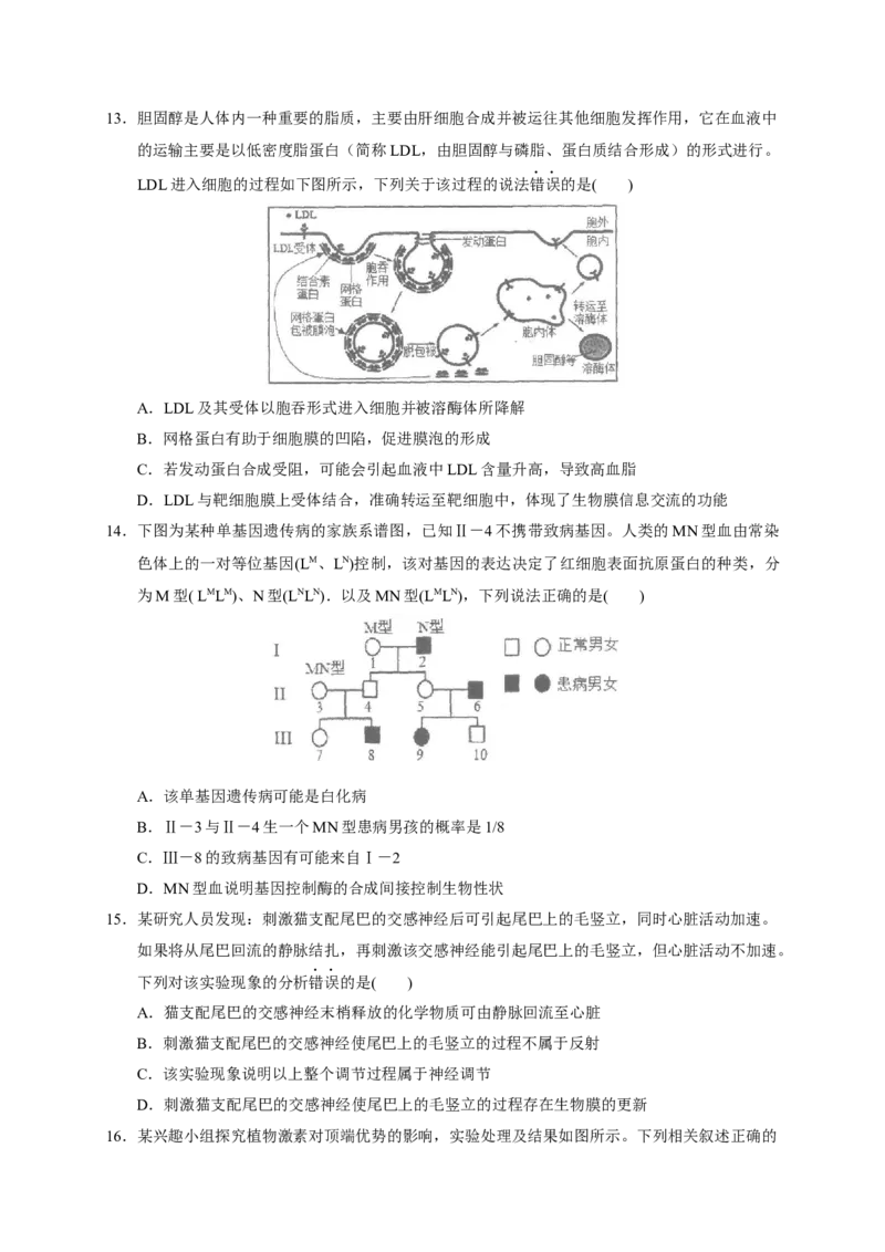 广东省汕头市金山中学2022-2023学年高三上学期摸底考试生物试题_生物高考模拟题_新高考_2023年