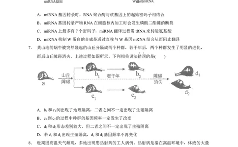 广东省汕头市金山中学2022-2023学年高三上学期摸底考试生物试题_生物高考模拟题_新高考_2023年