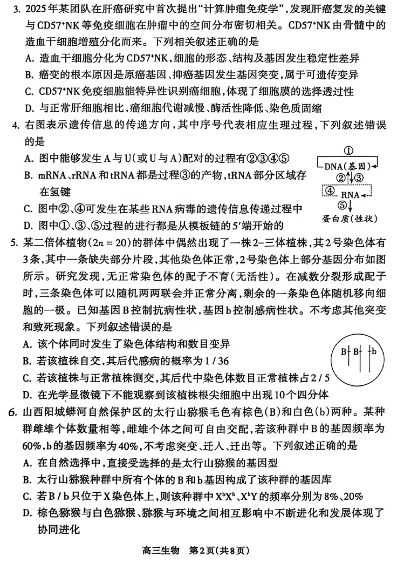 吕梁市2025-2026学年高三第二次模拟调研测试生物_2024-2026高三（6-6月题库）_2026年04月高三试卷_260405山西省吕梁市2025-2026学年高三第二次模拟调研测试（全科）