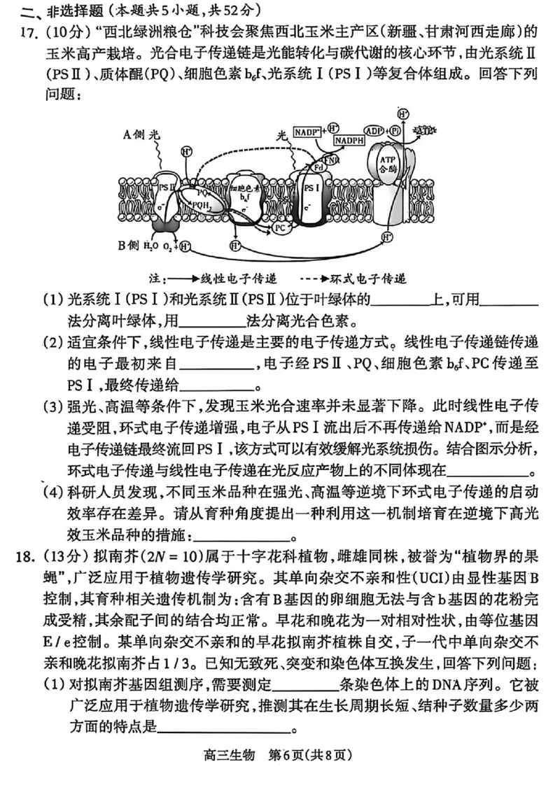 吕梁市2025-2026学年高三第二次模拟调研测试生物_2024-2026高三（6-6月题库）_2026年04月高三试卷_260405山西省吕梁市2025-2026学年高三第二次模拟调研测试（全科）