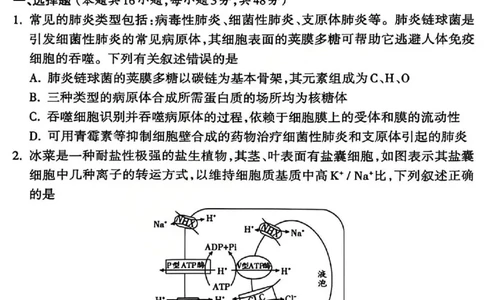 吕梁市2025-2026学年高三第二次模拟调研测试生物_2024-2026高三（6-6月题库）_2026年04月高三试卷_260405山西省吕梁市2025-2026学年高三第二次模拟调研测试（全科）