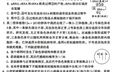 吕梁市2025-2026学年高三第二次模拟调研测试生物_2024-2026高三（6-6月题库）_2026年04月高三试卷_260405山西省吕梁市2025-2026学年高三第二次模拟调研测试（全科）