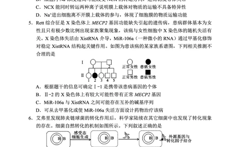 蓉城名校联盟2026届高三第二次联合诊断性考试生物_2024-2026高三（6-6月题库）_2026年04月高三试卷_260420四川省蓉城名校联盟2026届高三第二次联合诊断性考试（蓉城二诊）（全科）