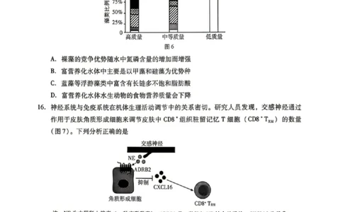 生物试卷-广东省2026年普通高等学校招生全国统一考试模拟测试(二)_2024-2026高三（6-6月题库）_2026年04月高三试卷_广东省2026年普通高等学校招生全国统一考试模拟测试（二）生物