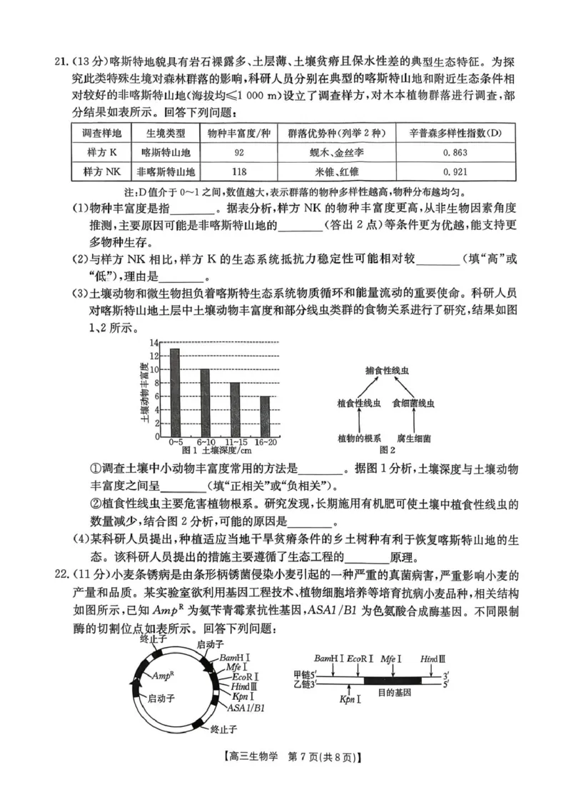 邯郸市2026届高三第一次模拟检测生物试卷_2024-2026高三（6-6月题库）_2026年03月高三试卷_2603192026届河北邯郸市高三第一次模拟检测试题_河北省邯郸市2026届高三第一次模拟检测生物试题