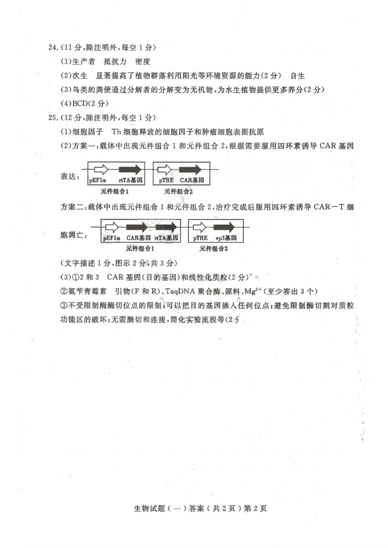 聊城市2026年普通高中学业水平等级考试模拟卷生物答案_2024-2026高三（6-6月题库）_2026年03月高三试卷_260313山东省聊城市2026年普通高中学业水平等级考试模拟卷（聊城一模）（全科）
