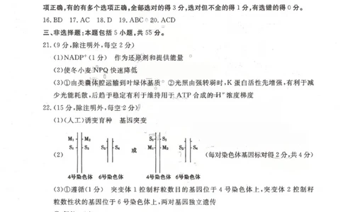聊城市2026年普通高中学业水平等级考试模拟卷生物答案_2024-2026高三（6-6月题库）_2026年03月高三试卷_260313山东省聊城市2026年普通高中学业水平等级考试模拟卷（聊城一模）（全科）