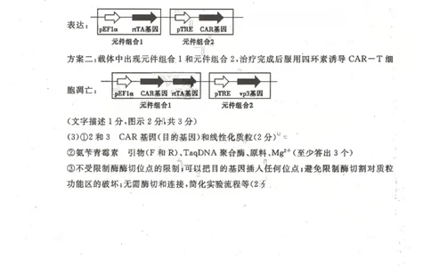 聊城市2026年普通高中学业水平等级考试模拟卷生物答案_2024-2026高三（6-6月题库）_2026年03月高三试卷_260313山东省聊城市2026年普通高中学业水平等级考试模拟卷（聊城一模）（全科）