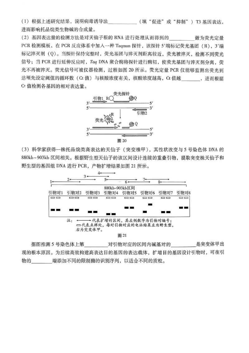 巴蜀中学2026届高考适应性月考卷（七）生物_2024-2026高三（6-6月题库）_2026年03月高三试卷_260324重庆市巴蜀中学2026届高考适应性月考卷（七）（全科）