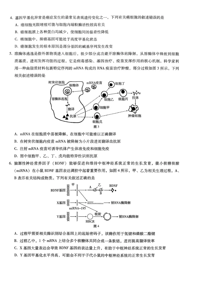 巴蜀中学2026届高考适应性月考卷（七）生物_2024-2026高三（6-6月题库）_2026年03月高三试卷_260324重庆市巴蜀中学2026届高考适应性月考卷（七）（全科）