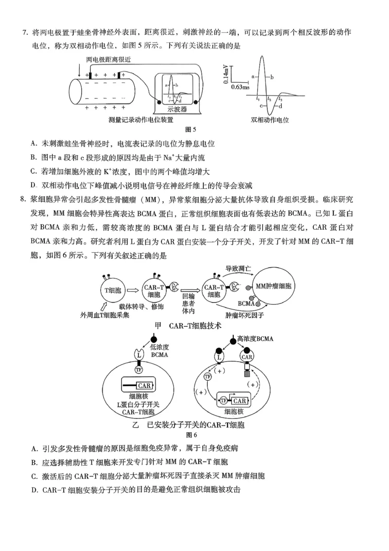 巴蜀中学2026届高考适应性月考卷（七）生物_2024-2026高三（6-6月题库）_2026年03月高三试卷_260324重庆市巴蜀中学2026届高考适应性月考卷（七）（全科）