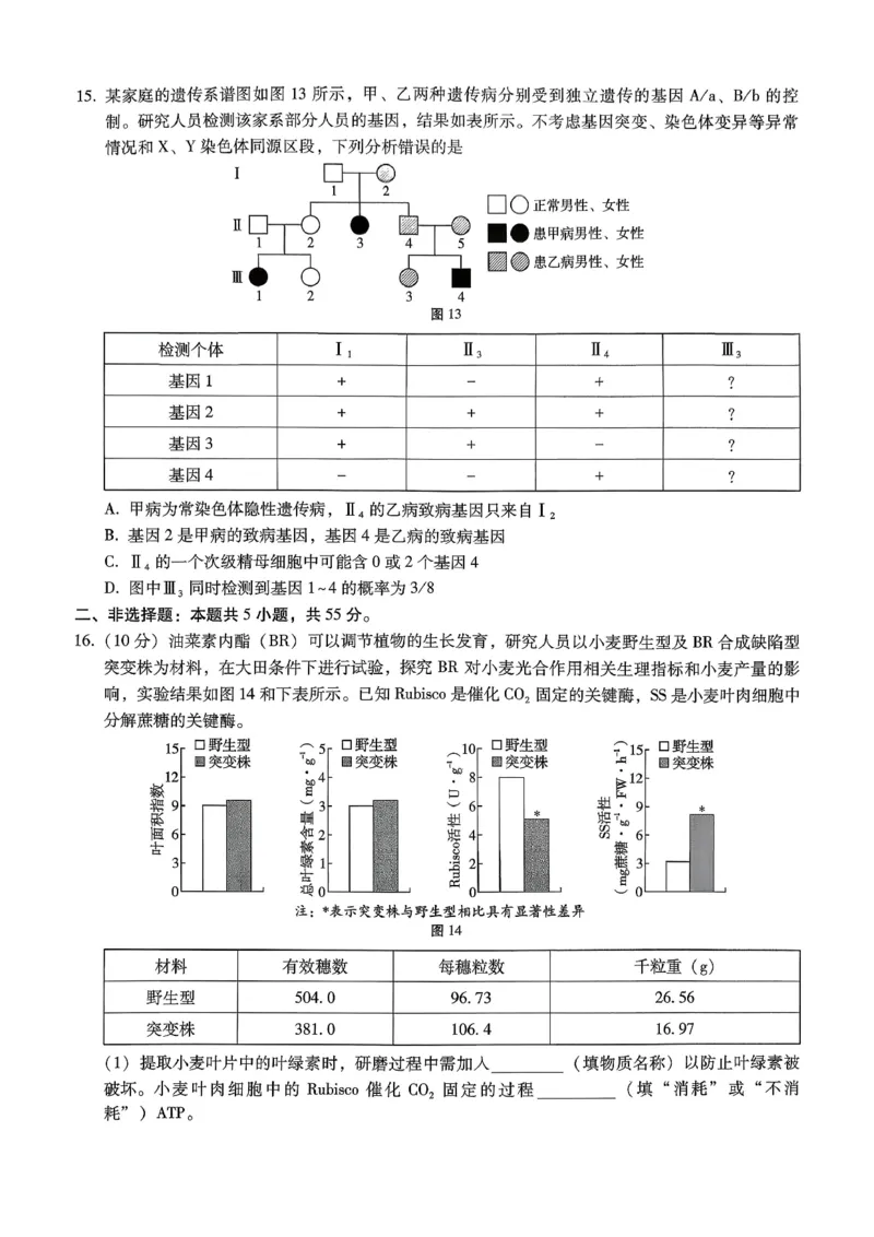 巴蜀中学2026届高考适应性月考卷（七）生物_2024-2026高三（6-6月题库）_2026年03月高三试卷_260324重庆市巴蜀中学2026届高考适应性月考卷（七）（全科）