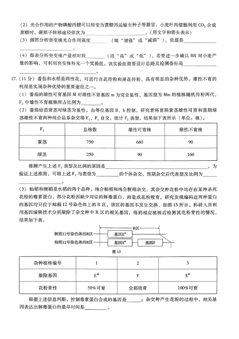 巴蜀中学2026届高考适应性月考卷（七）生物_2024-2026高三（6-6月题库）_2026年03月高三试卷_260324重庆市巴蜀中学2026届高考适应性月考卷（七）（全科）