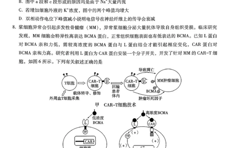 巴蜀中学2026届高考适应性月考卷（七）生物_2024-2026高三（6-6月题库）_2026年03月高三试卷_260324重庆市巴蜀中学2026届高考适应性月考卷（七）（全科）