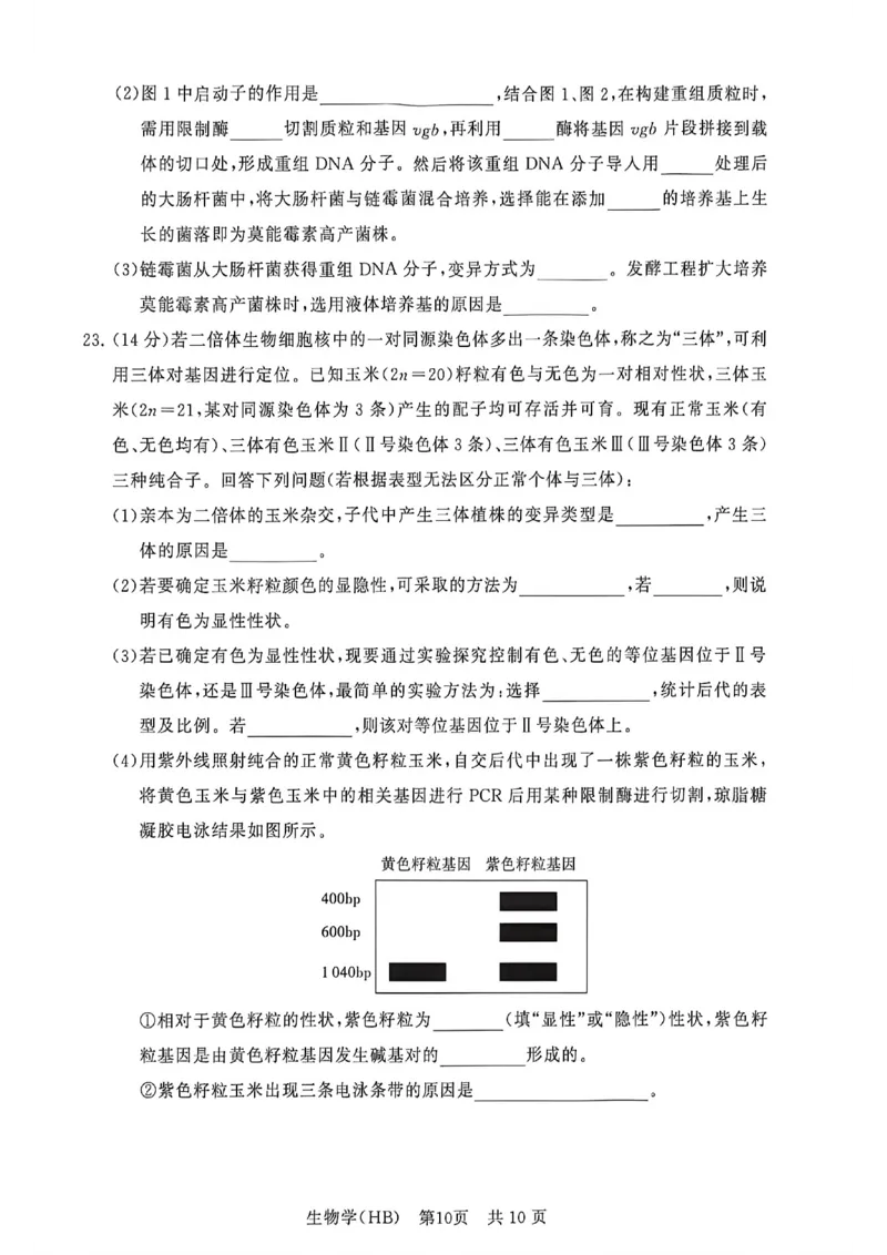 八省T8联考2026届高三年级四月阶段练习生物(HB)_2024-2026高三（6-6月题库）_2026年04月高三试卷_2604112026届八省八校T8联考高三下学期4月联合测评（全科）