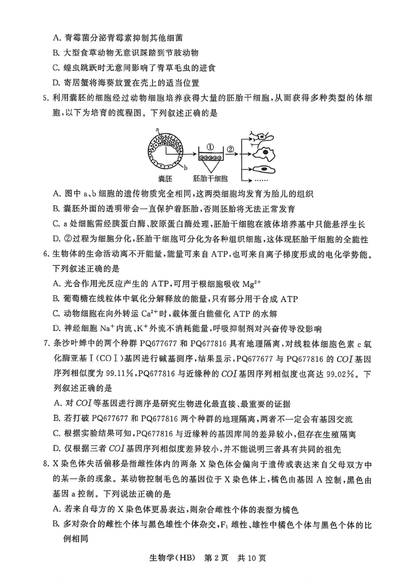 八省T8联考2026届高三年级四月阶段练习生物(HB)_2024-2026高三（6-6月题库）_2026年04月高三试卷_2604112026届八省八校T8联考高三下学期4月联合测评（全科）