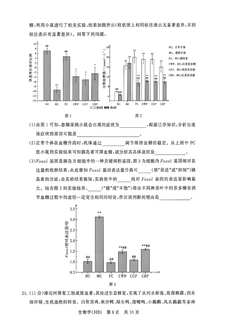 八省T8联考2026届高三年级四月阶段练习生物(HB)_2024-2026高三（6-6月题库）_2026年04月高三试卷_2604112026届八省八校T8联考高三下学期4月联合测评（全科）