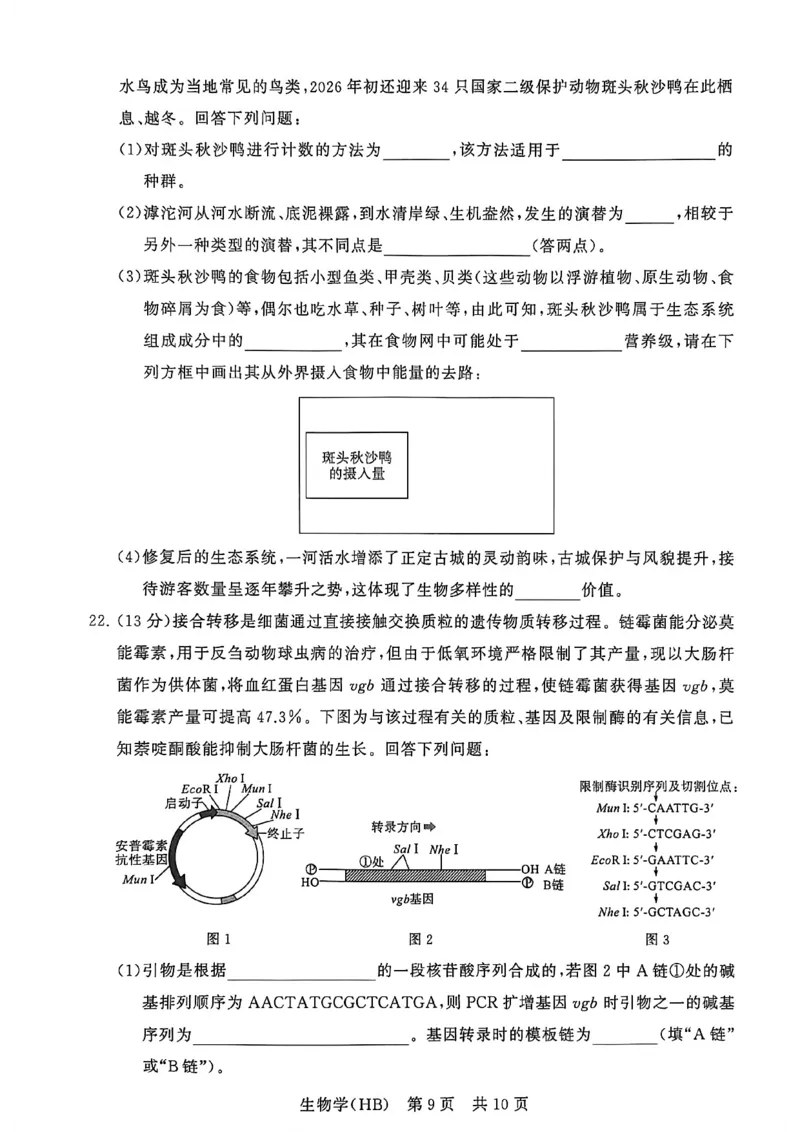 八省T8联考2026届高三年级四月阶段练习生物(HB)_2024-2026高三（6-6月题库）_2026年04月高三试卷_2604112026届八省八校T8联考高三下学期4月联合测评（全科）
