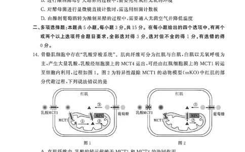 八省T8联考2026届高三年级四月阶段练习生物(HB)_2024-2026高三（6-6月题库）_2026年04月高三试卷_2604112026届八省八校T8联考高三下学期4月联合测评（全科）
