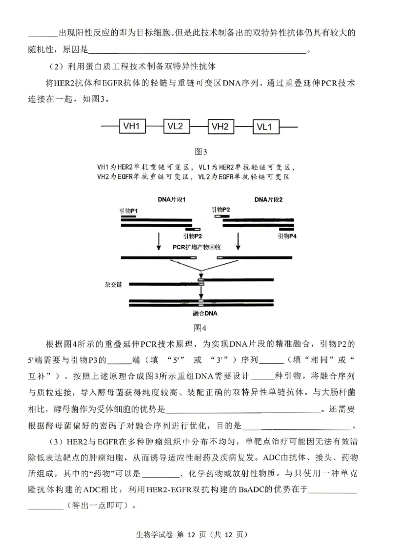 东北三省三校2026届高三下学期第二次模拟考试生物_2024-2026高三（6-6月题库）_2026年04月高三试卷_260403东北三省三校2026届高三下学期第二次模拟考试（全科）