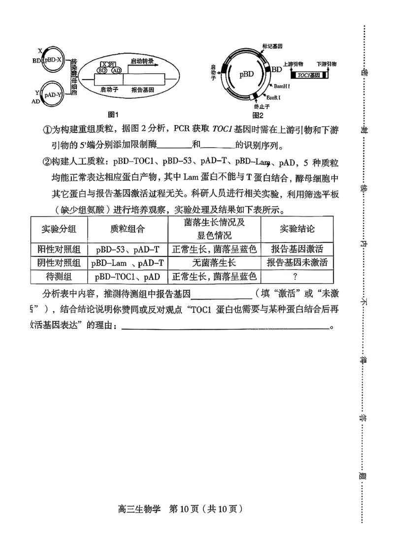 福建省龙岩市2026年高中毕业班三月教学质量检测生物试题+答案_2024-2026高三（6-6月题库）_2026年03月高三试卷_260310福建省龙岩市2026年高中毕业班三月教学质量检测（全科）