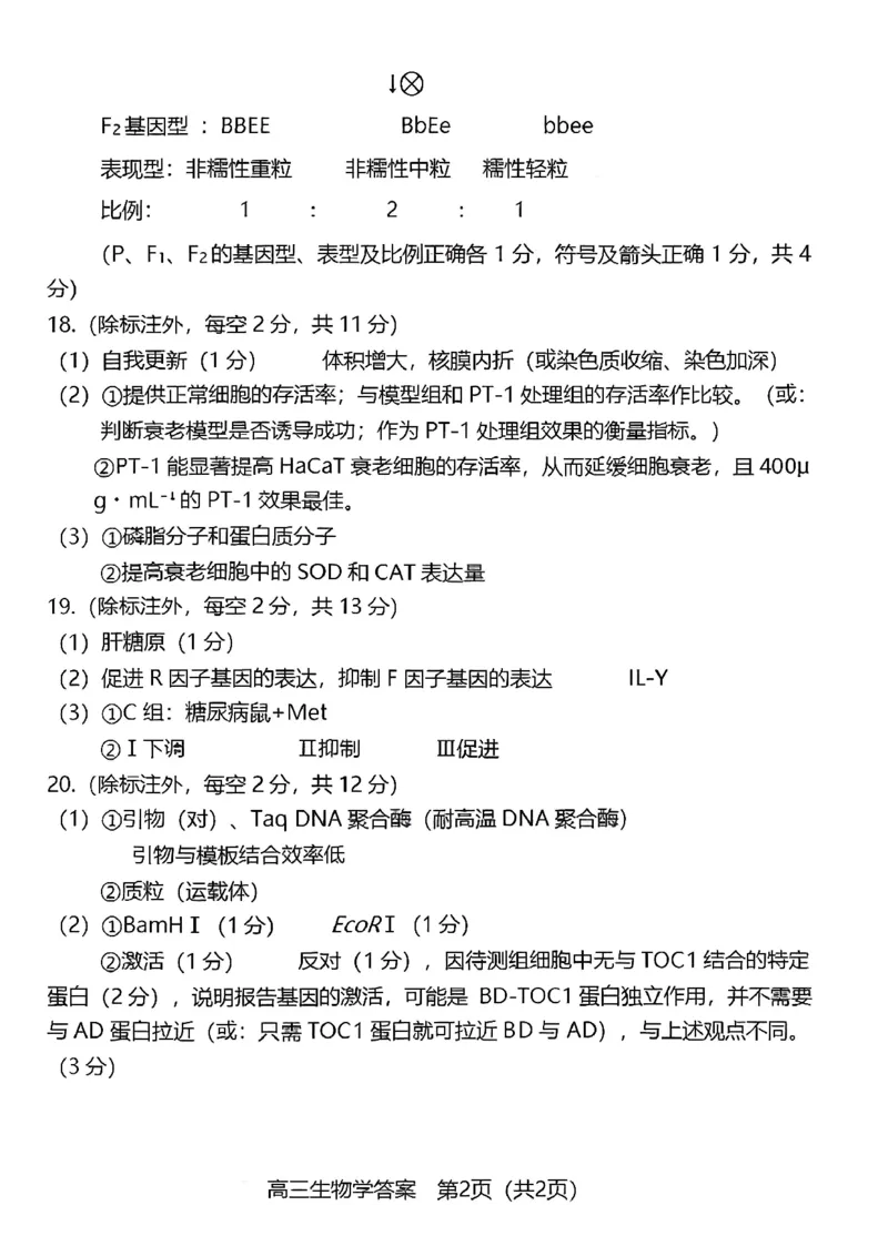 福建省龙岩市2026年高中毕业班三月教学质量检测生物试题+答案_2024-2026高三（6-6月题库）_2026年03月高三试卷_260310福建省龙岩市2026年高中毕业班三月教学质量检测（全科）