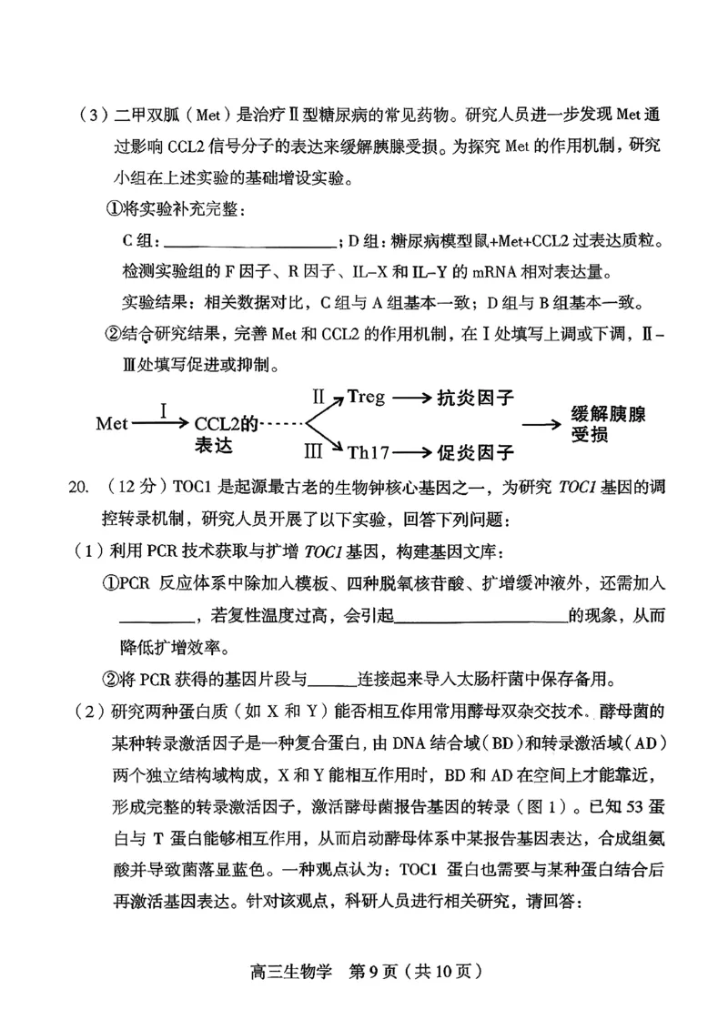 福建省龙岩市2026年高中毕业班三月教学质量检测生物试题+答案_2024-2026高三（6-6月题库）_2026年03月高三试卷_260310福建省龙岩市2026年高中毕业班三月教学质量检测（全科）